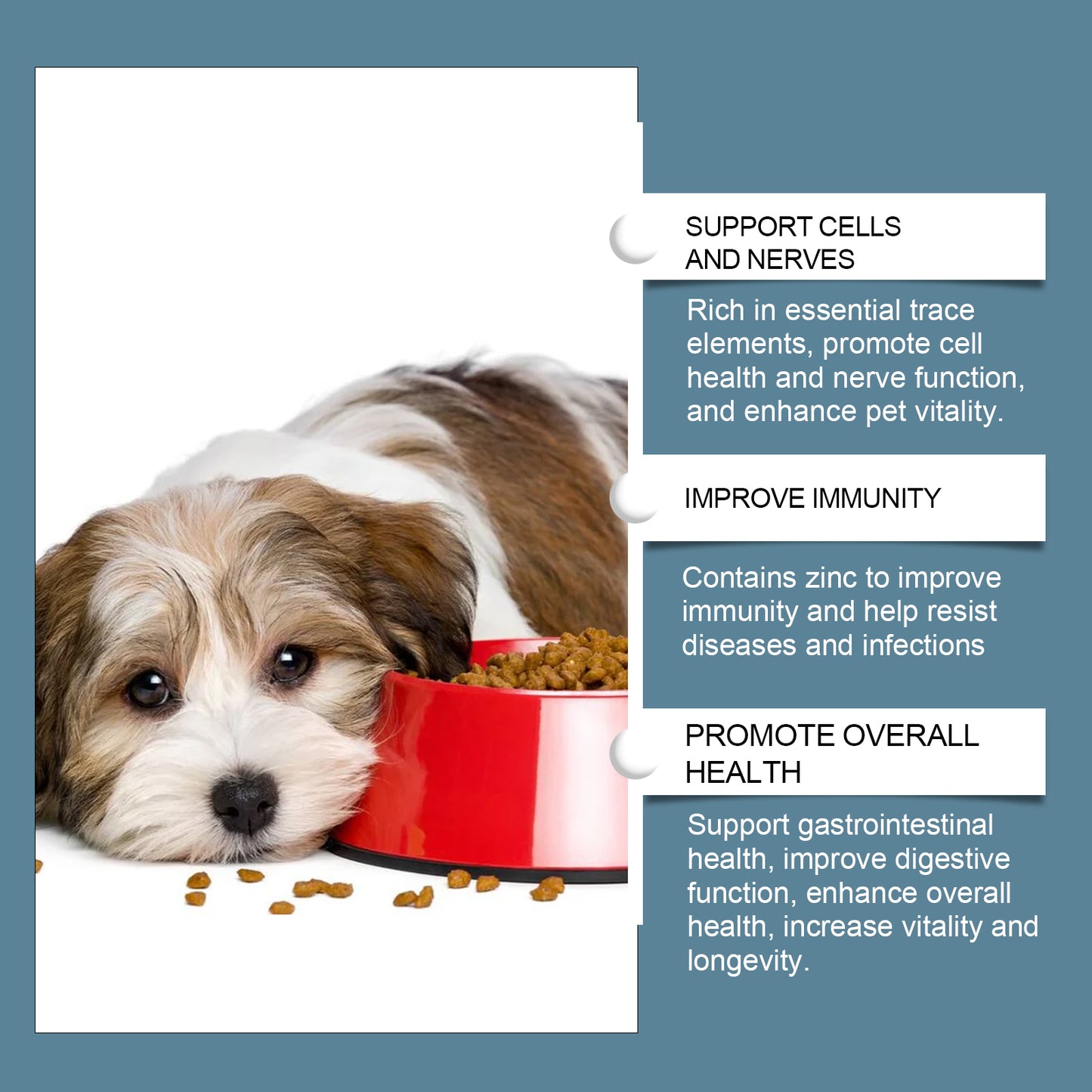 Dog Mineral Supplement Chewables for Pica Appetite & Bone Support - Non-GMO, 80 Tablets