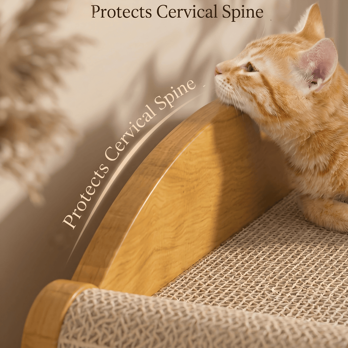 Multi-Style Double-Layer Cat House & Bed with Corrugated Cardboard, Interactive Toys & Ergonomic Support