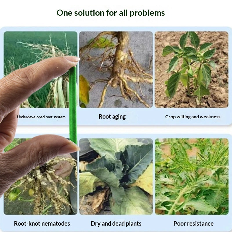 Plant-Based Slow-Release Fertilizer Sticks for All Seasons – Home Garden Supply