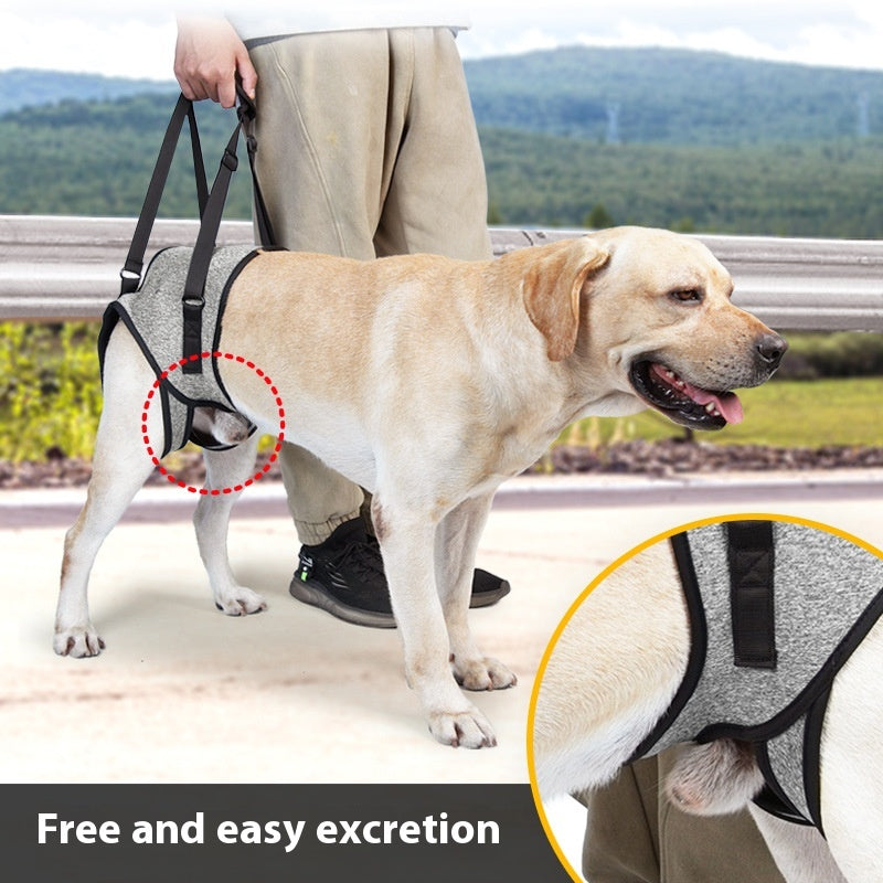 Elderly Dog Outing Back Strap - Adjustable Pet Harness for Senior Dogs