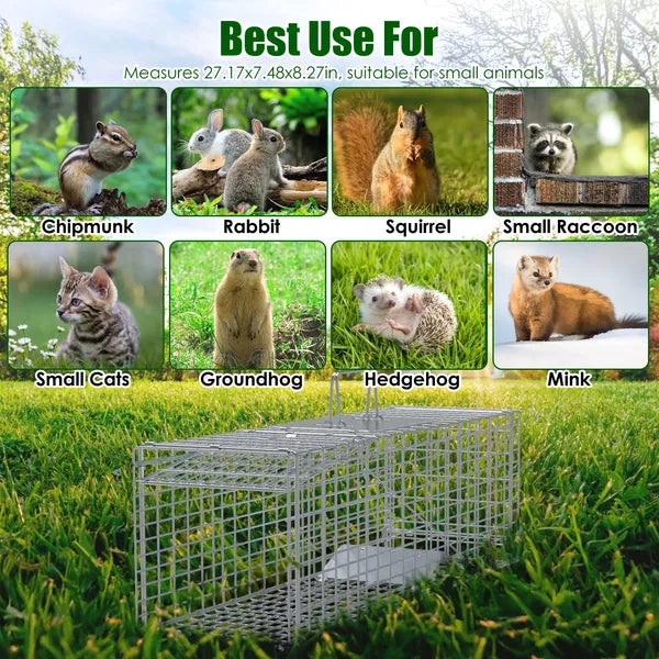 Humane Live Animal Trap Cage - Steel Folding Design for Small Animals