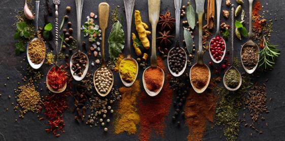 Herb and Spice Cooking Art Canvas Posters - Kitchen Wall Decor