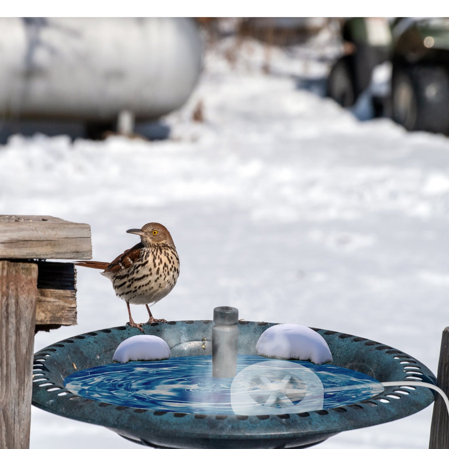Outdoor Bird Bath Heater with Thermostat - Winter Water Deicer, Waterproof Aluminum