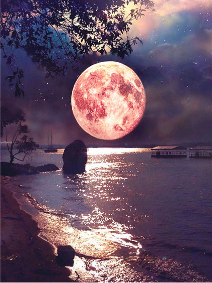 DIY Moon Full Square Diamond Painting Embroidery Home Decor