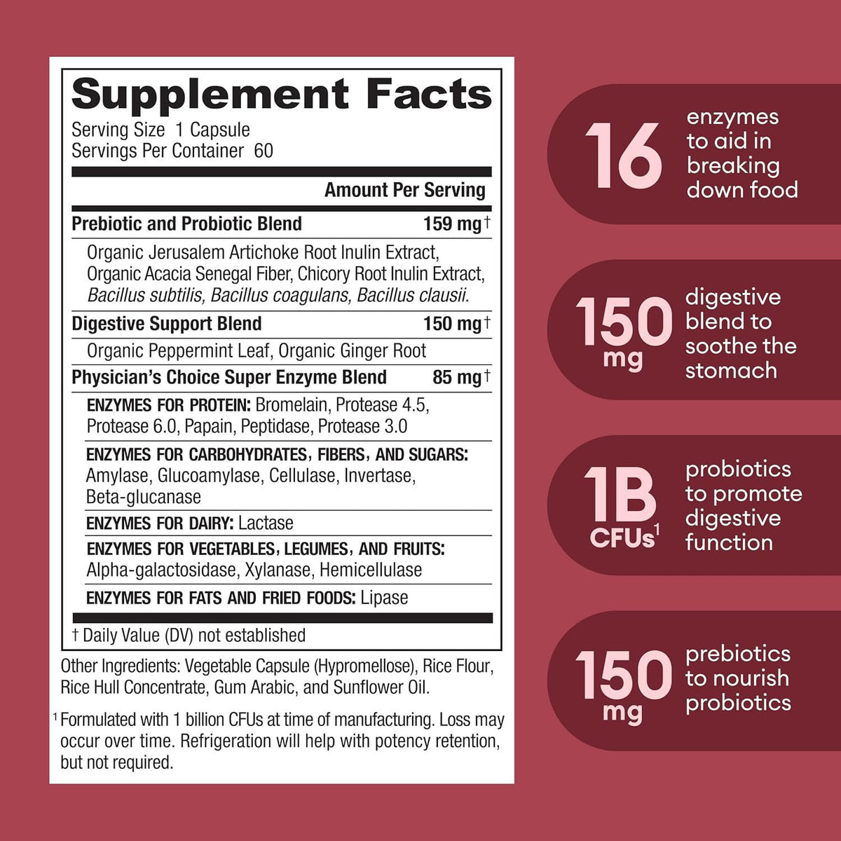 Digestive Enzymes with Probiotics & Prebiotics - 60 Capsules