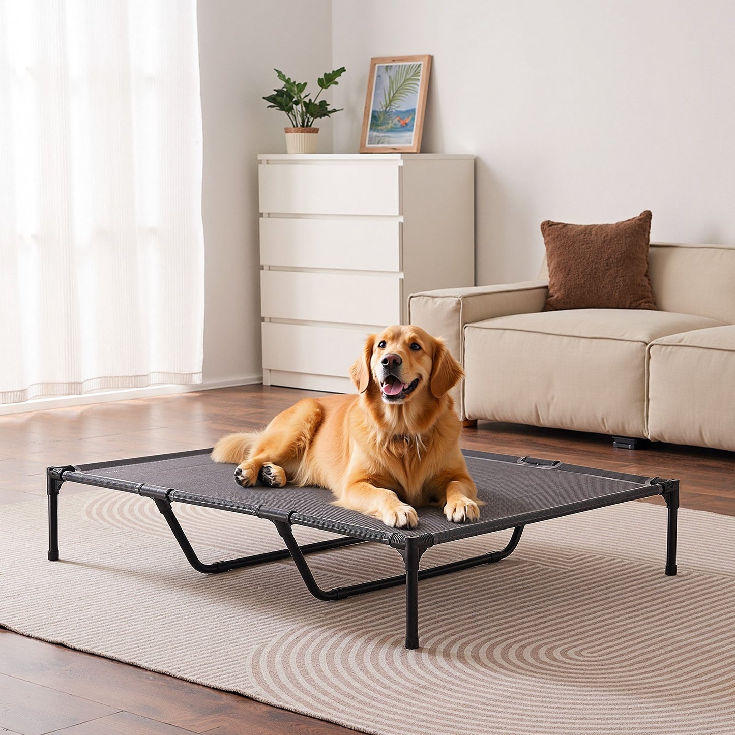 Large Portable Elevated Dog Bed with Metal Frame - XL Breathable Mesh Pet Cot