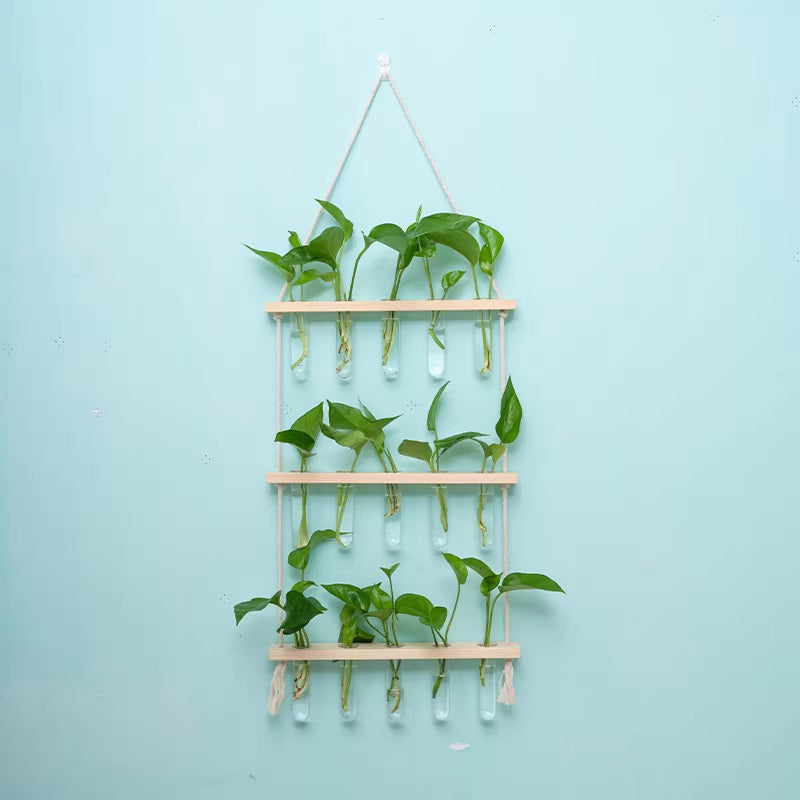 Hydroponic Glass Test Tube Rack with Wooden Stand - Modern Minimalist Decor
