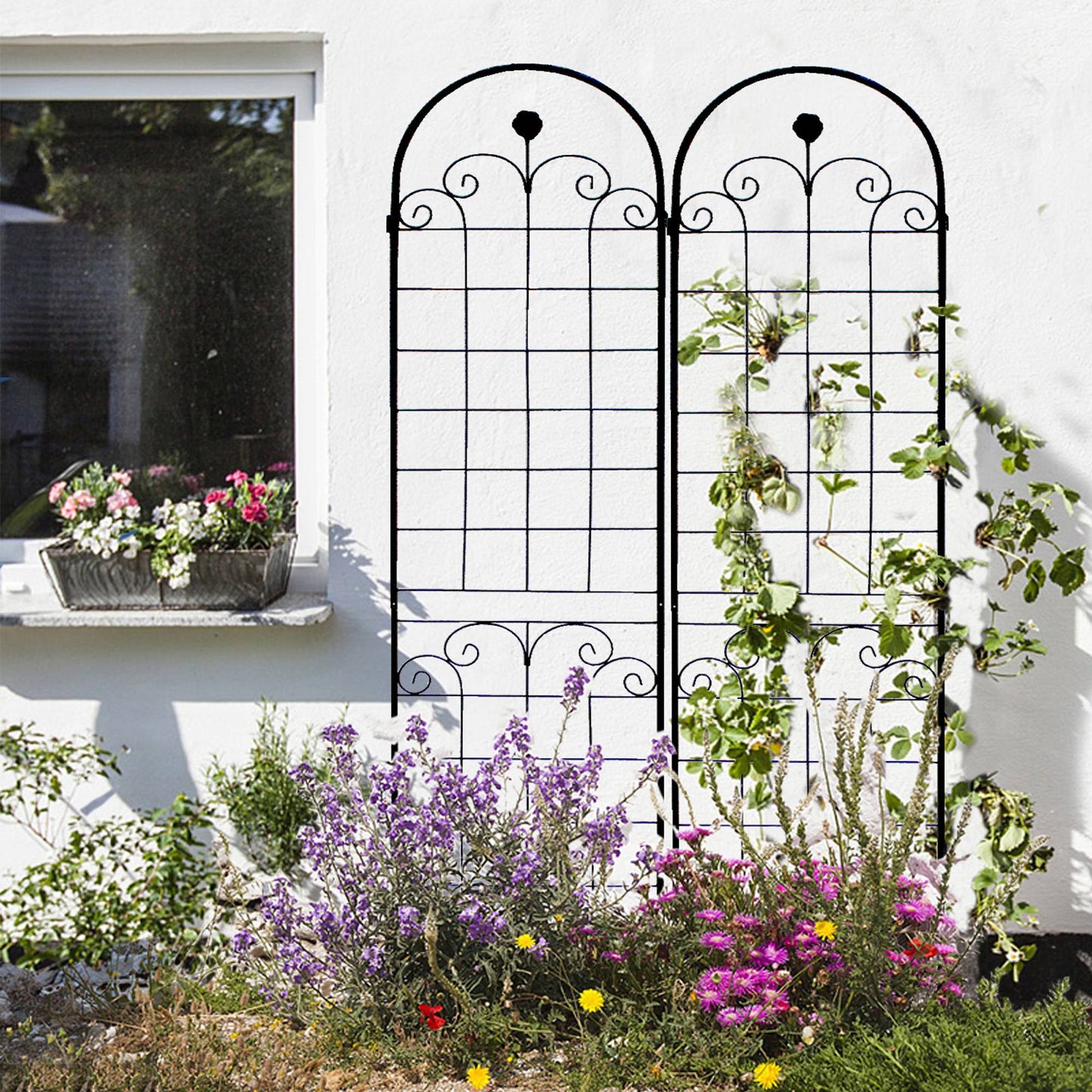 Metal Garden Trellis Pack for Climbing Plants Outdoor Support Black 4 Pack