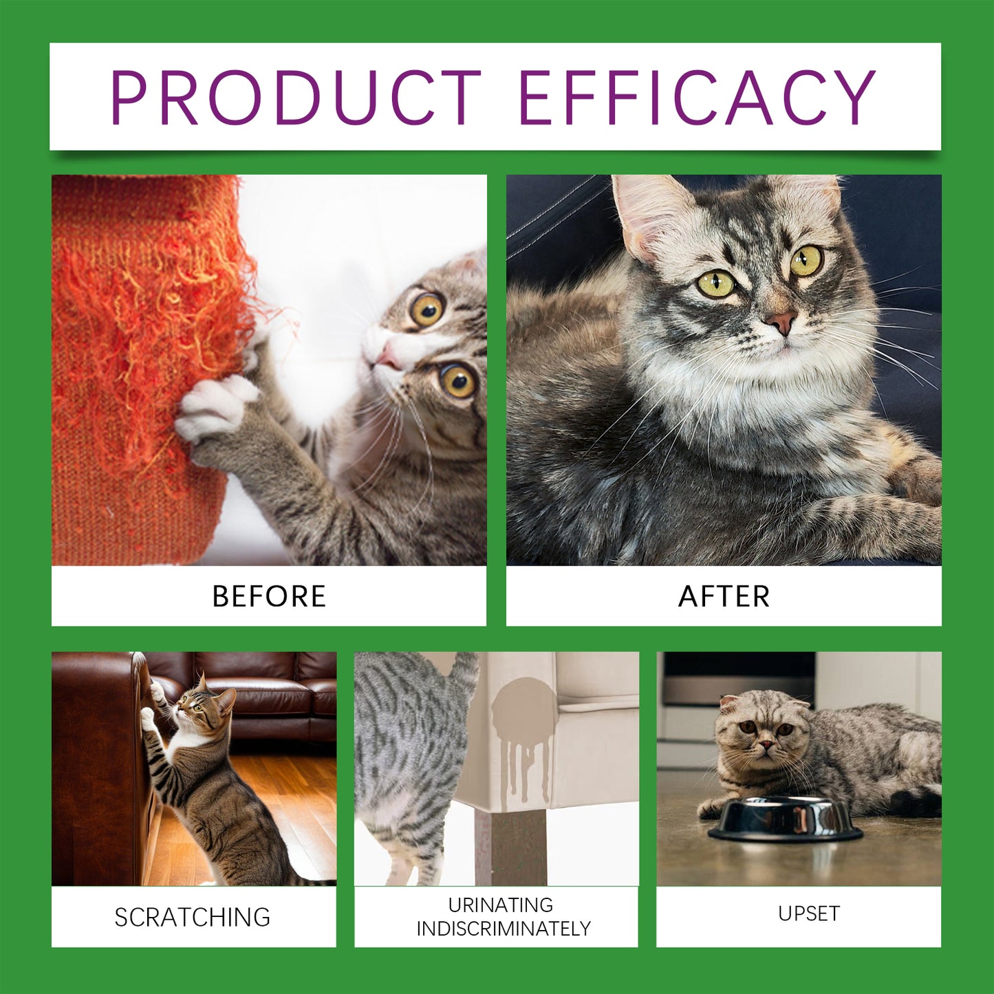 Cat Calming Pheromone Diffuser Kit 45ml Stress Relief for Anxious Cats