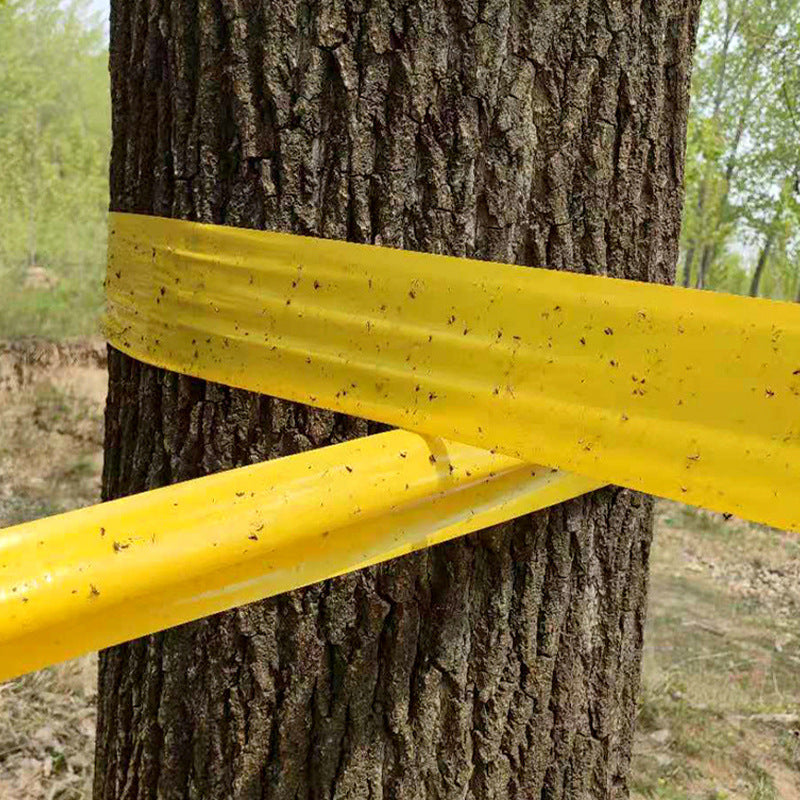 Fruit Tree Sticky Insect Tape for Orchards & Gardens - Multiple Sizes