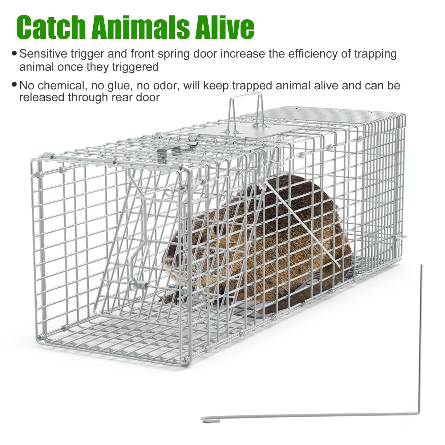 Humane Cat Trap Cage for Raccoons, Beavers & Groundhogs - Collapsible