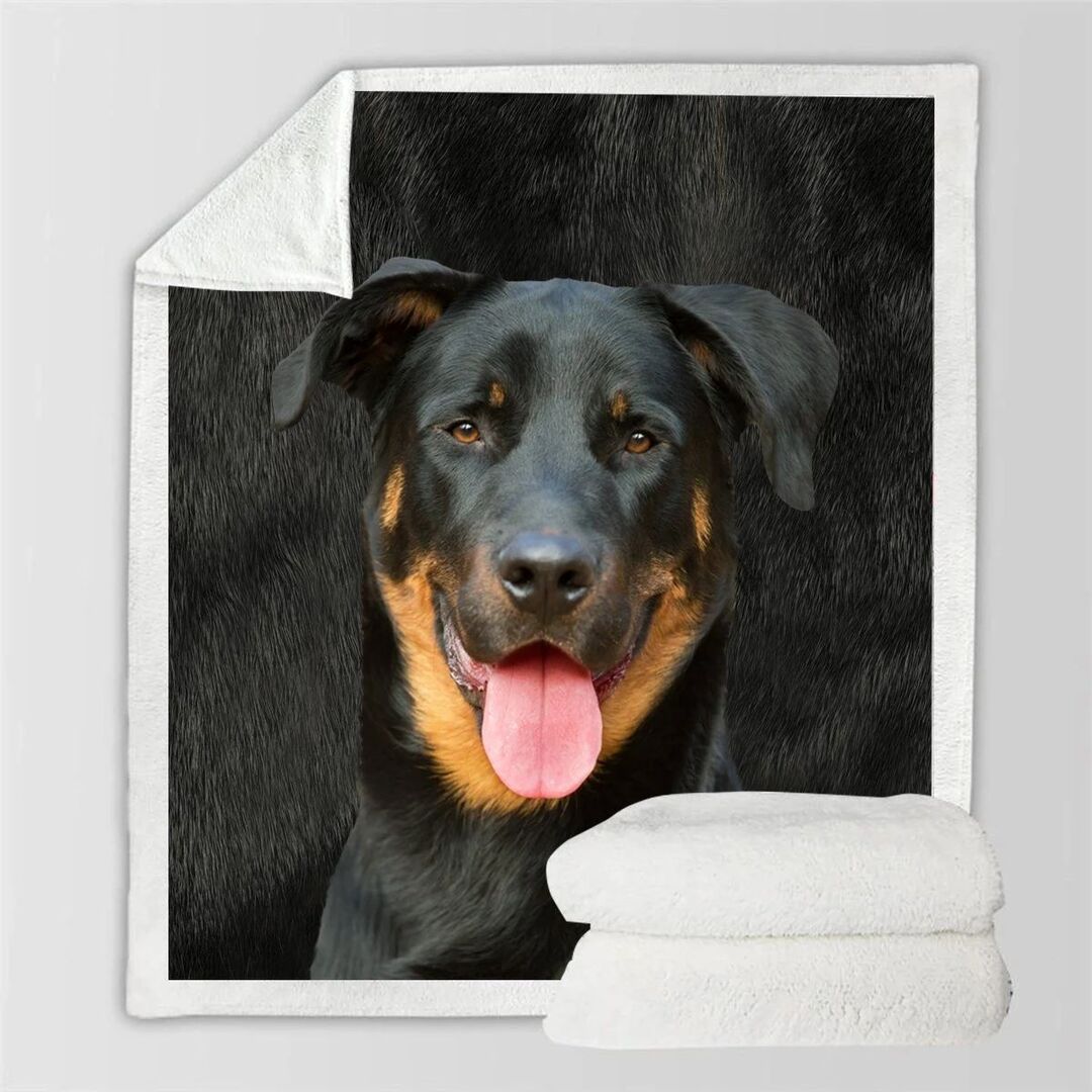 Double-Sided Flannel Blanket for Home & Air Conditioning Use - Multiple Sizes & Styles