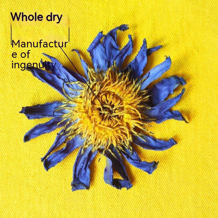 Blue Lotus Dried Flowers for Home Decor - Natural Fragrance & Rich Selection