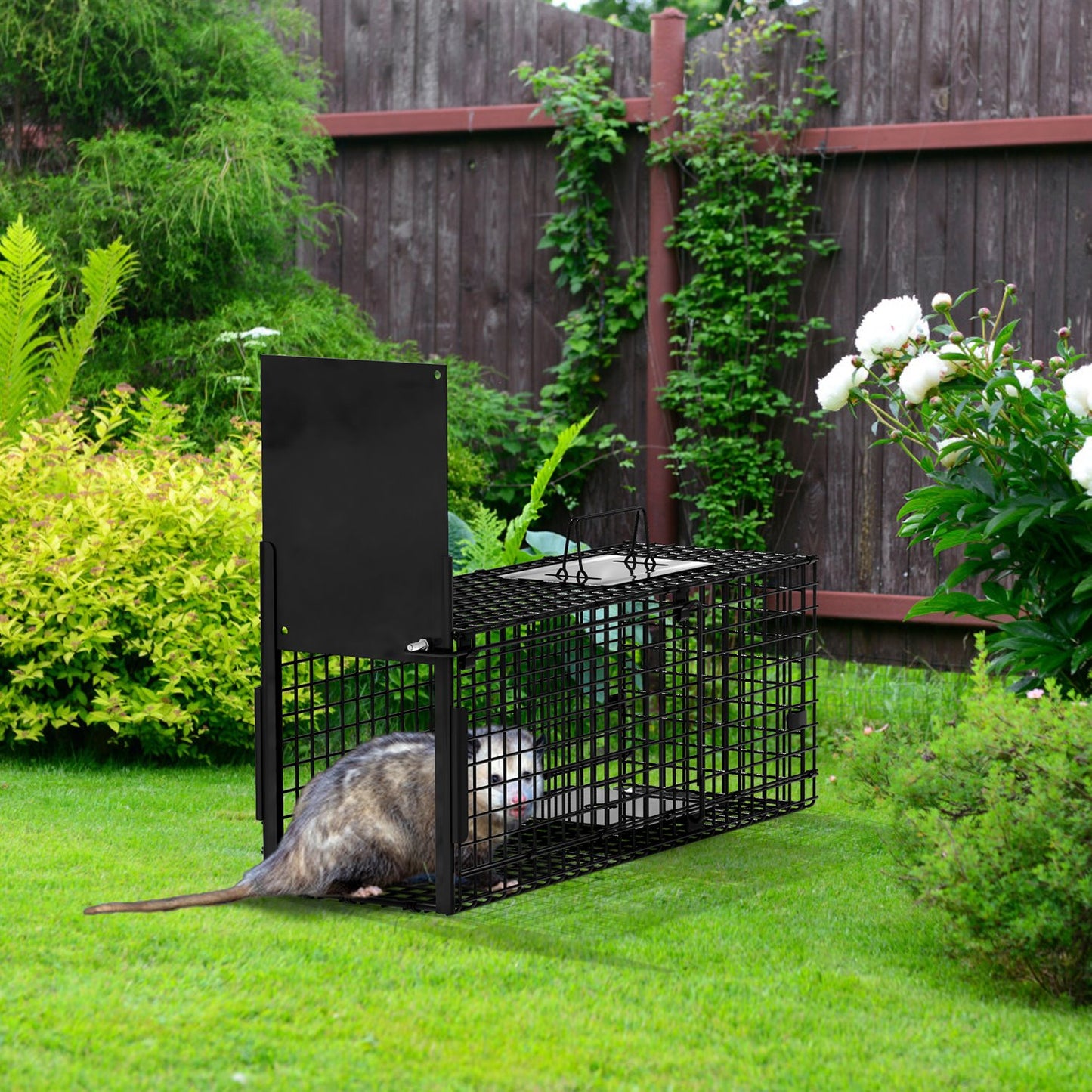 Humane Live Animal Cage Trap - Galvanized Iron, Multiple Sizes