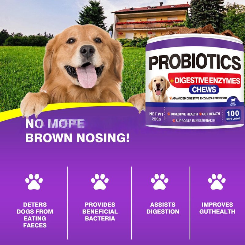 Dog Probiotic Chewable Tablets - Digestive Support - 250g