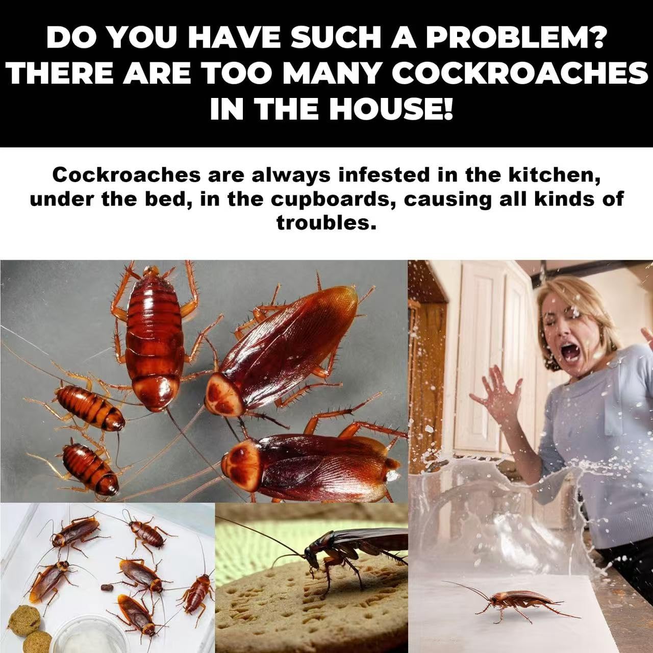 8pcs In 1box, Roach Killer Indoor Infestation, Bait Gel Traps