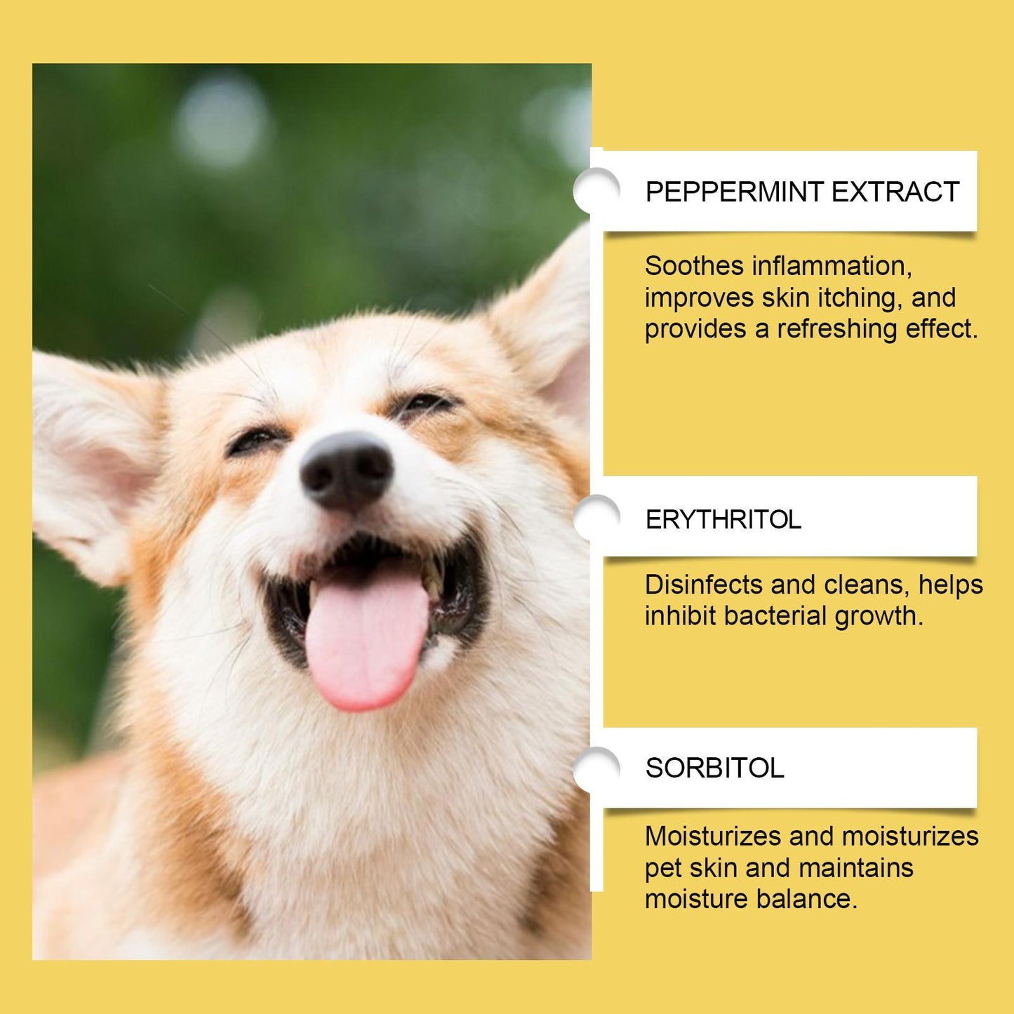 Herbal Pet Skin Care Supplement for Soothing Skin - Multiple Units