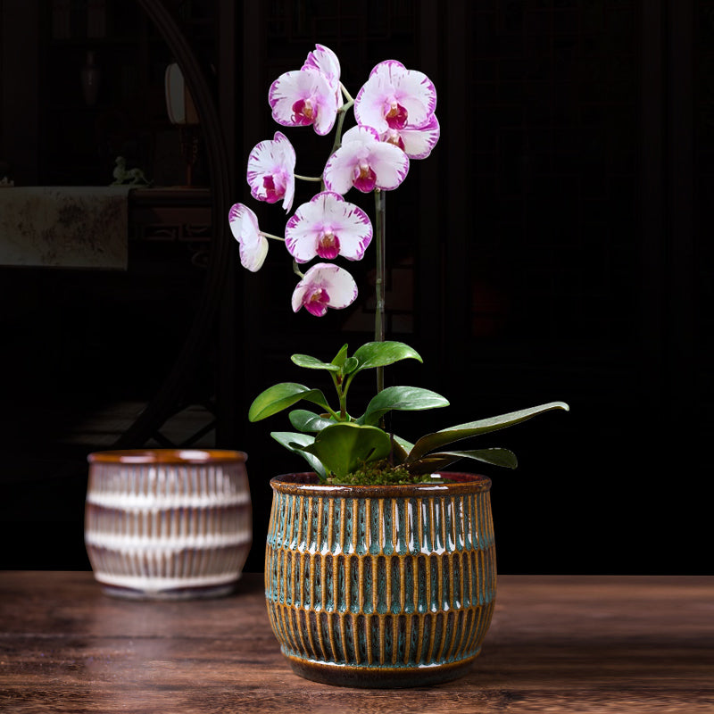 Ceramic Cylindrical Bonsai Pot for Orchids and Green Plants - Chinese Style