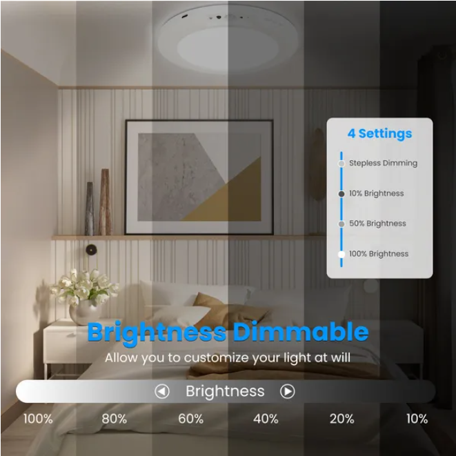Rechargeable Motion Sensor Ceiling Light - Energy-Efficient LED Fixture