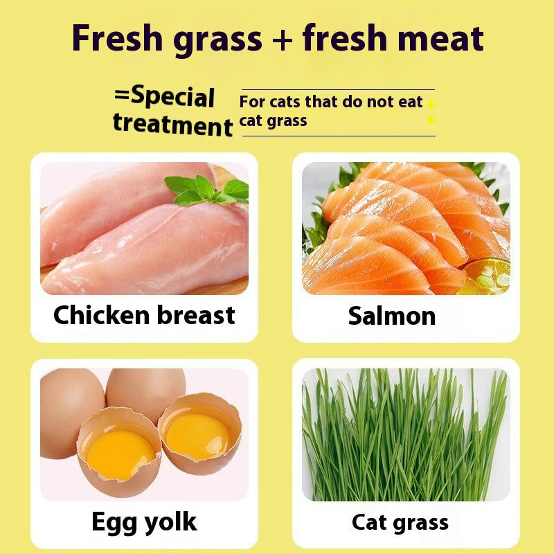 Freeze-Dried Cat Grass Grain Snacks