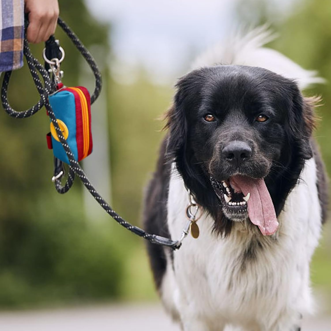 Dog Poop Bag Dispenser Holder with Zippered Canvas & Metal Carabiner for Leash