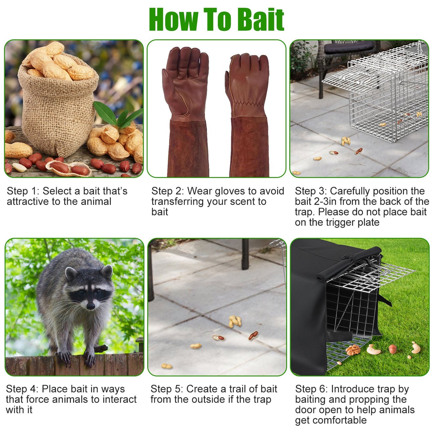 Humane Collapsible Cat Trap Cage with Waterproof Cover & Gloves