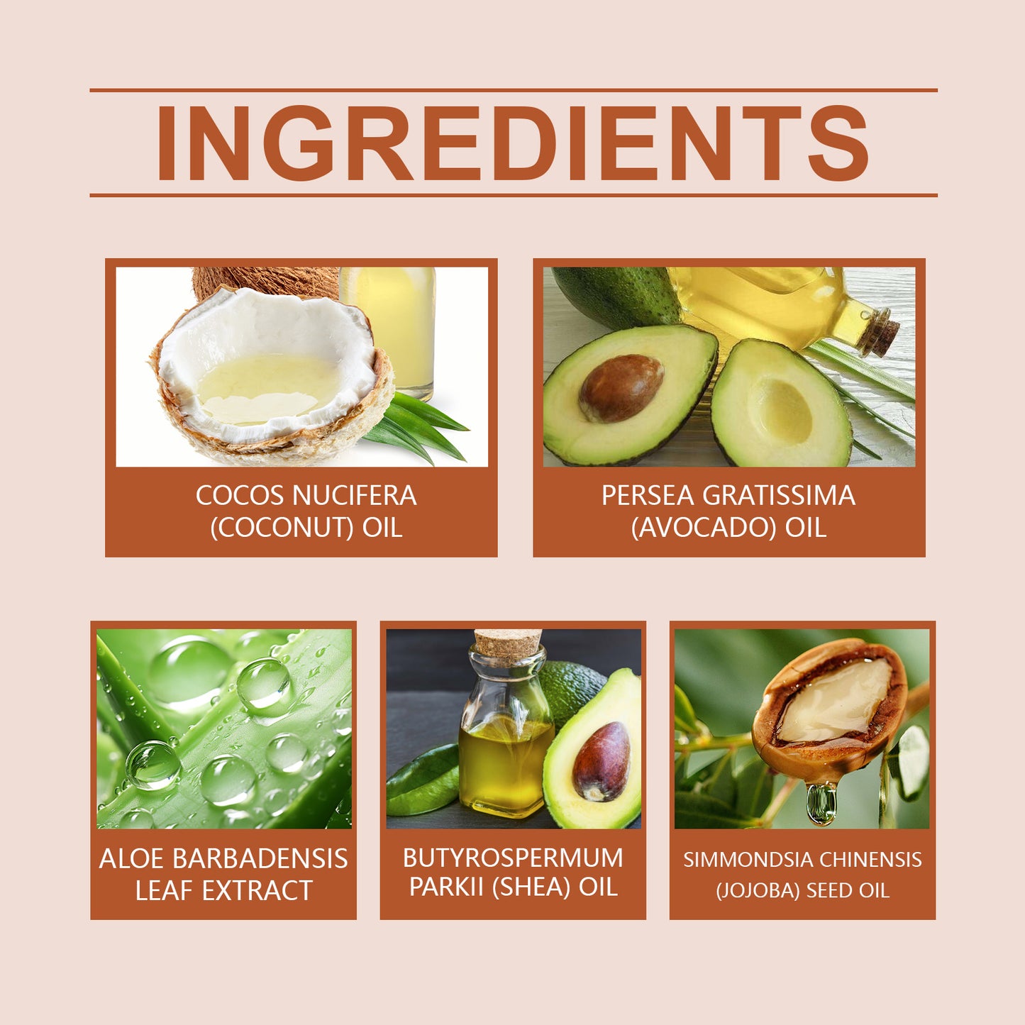 Foot Moisturizing Cream with Coconut & Avocado Oil for Dry Chapped Skin