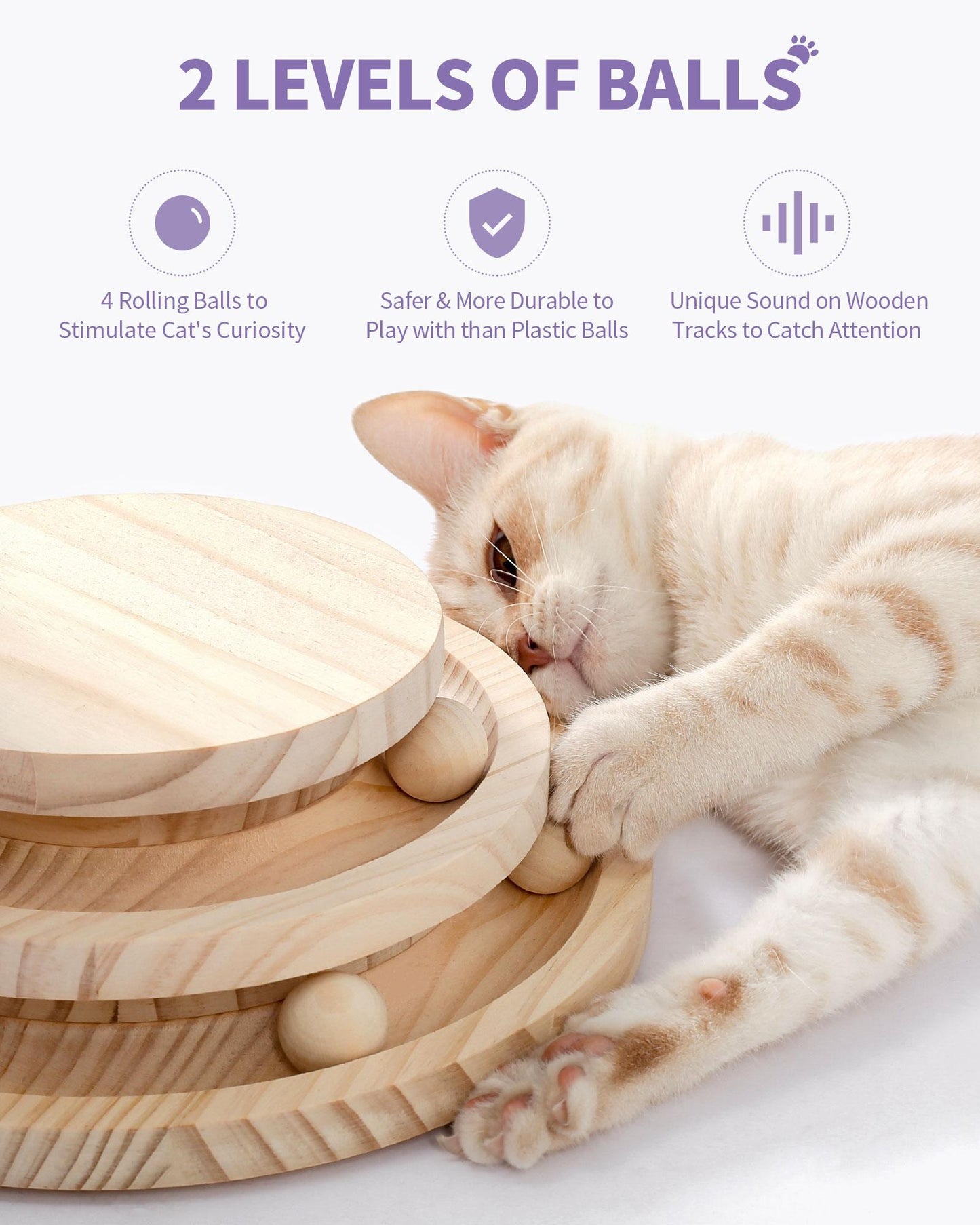 Indoor Cat Scratching Post and Interactive Toy Track Set - Small Cats