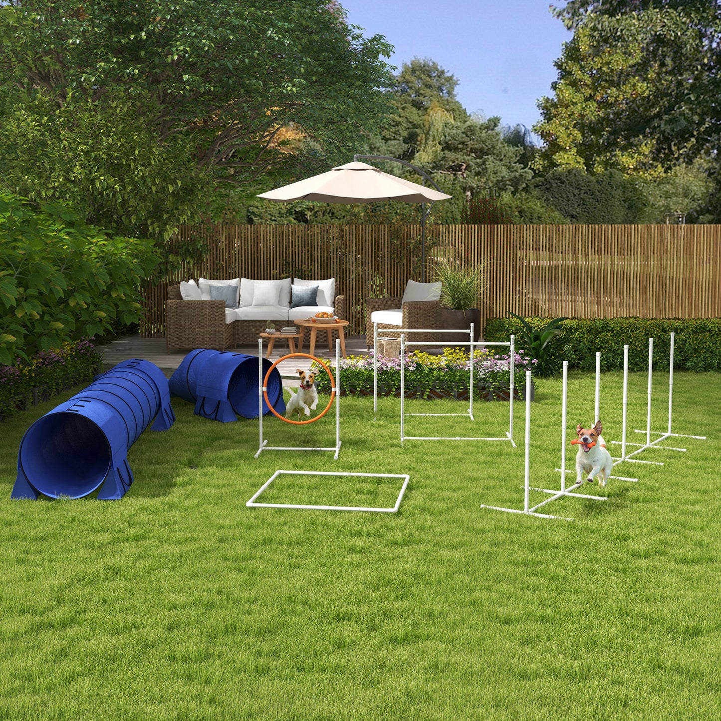 Dog Agility Training Equipment Set with Tunnels, Hurdles, Poles & Ring