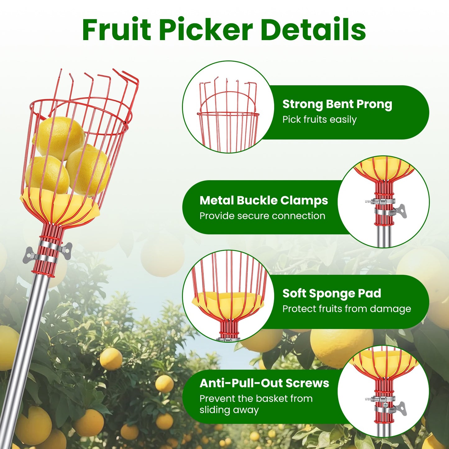 2-in-1 Extendable Pole Saw & Fruit Picker Garden Tool Set
