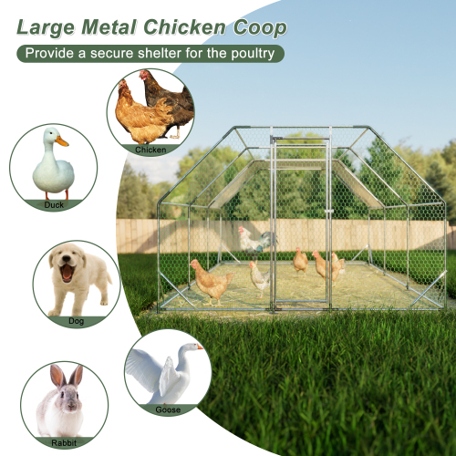 10 Ft x 20 Ft Galvanized Metal Walk-In Chicken Coop Cage Farm Poultry Run Hutch