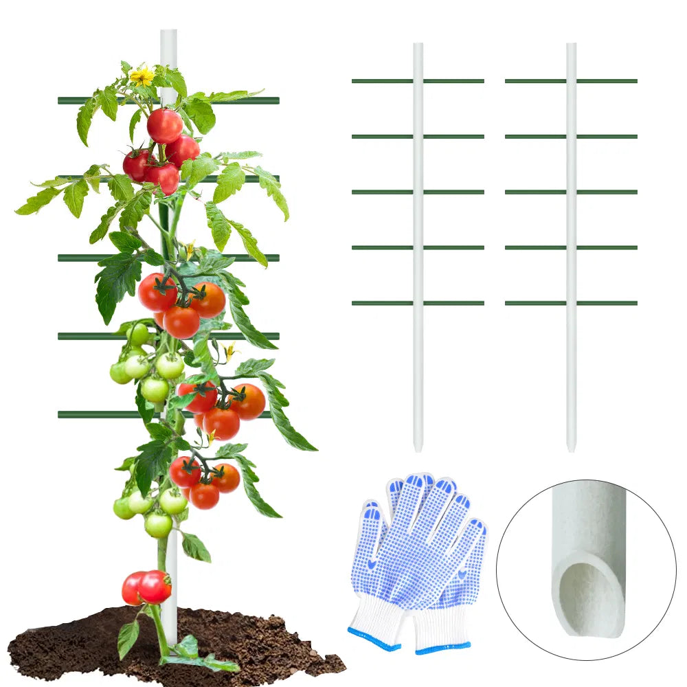 2FT x 6FT White Round Tube Climbing Trellis for Plants