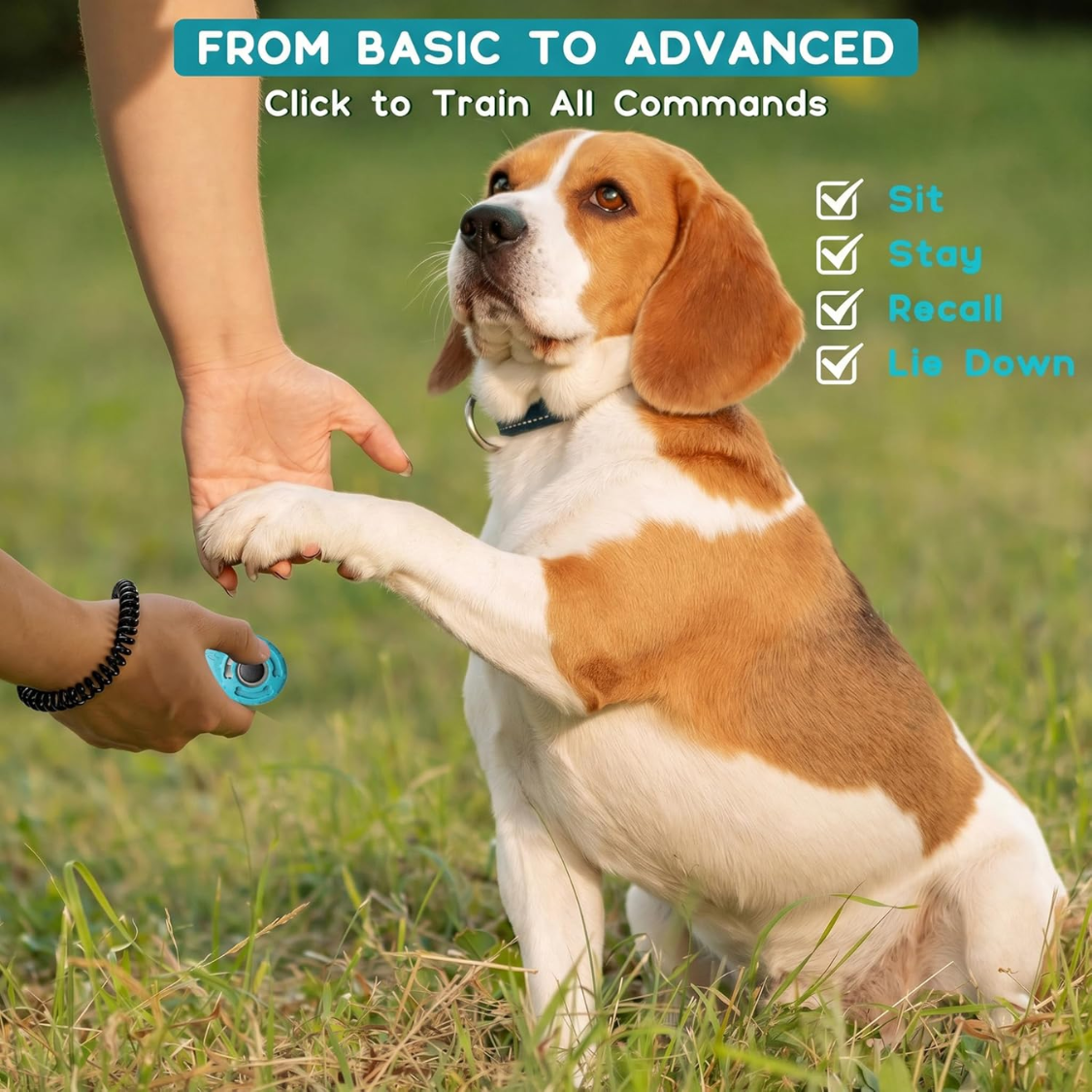 Dog Training Clicker with Wrist Strap & Keyring for Puppy & Pet Training