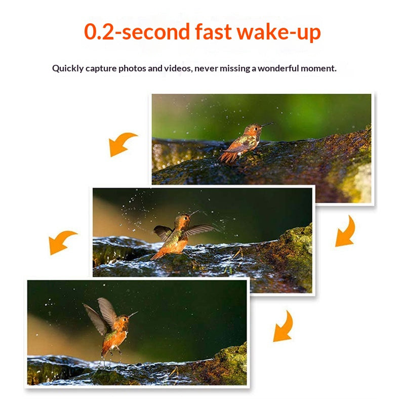 Solar-Powered 4G Wildlife Surveillance Camera Wireless Security Cam