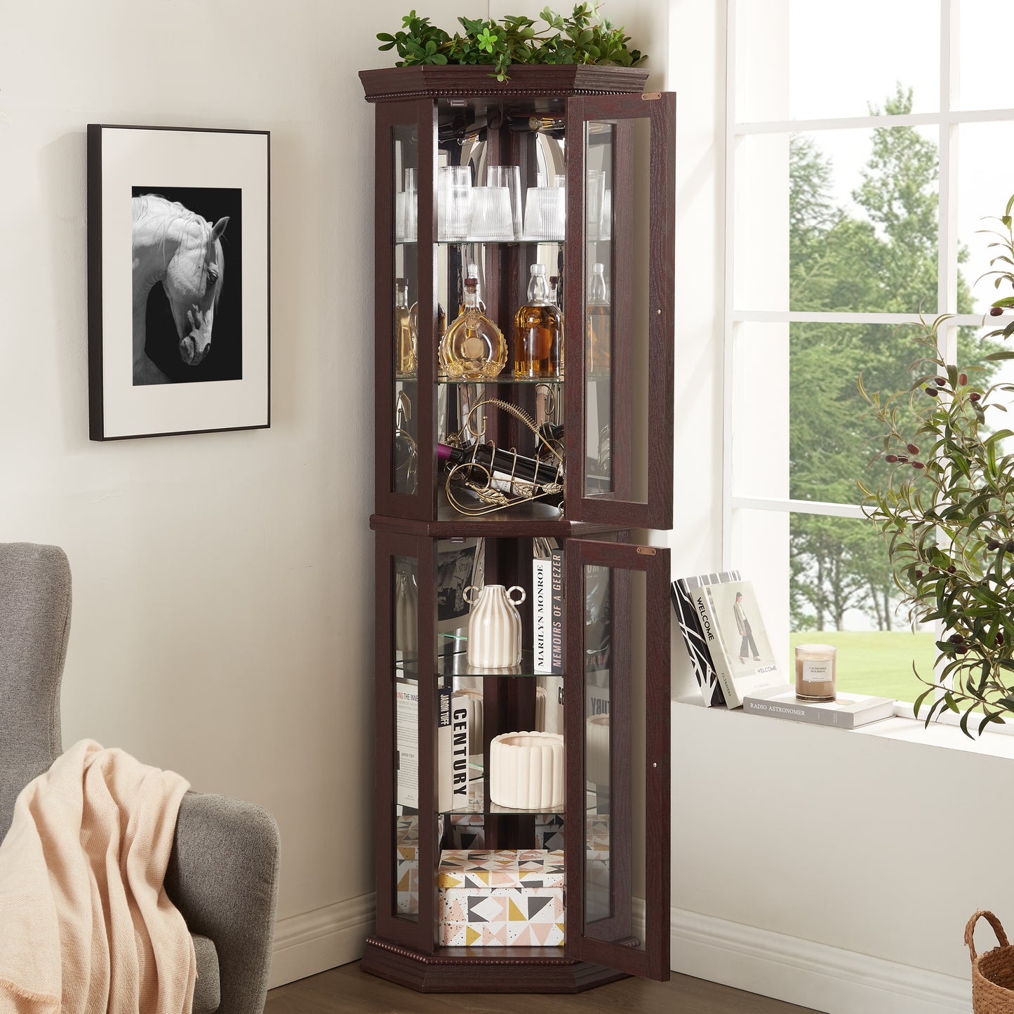 Glass Cabinet Lighted Corner Display Curio Cabinet, With Light