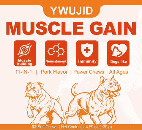 Pet Muscle Support Soft Chew Tablets for Active Pets — CJ