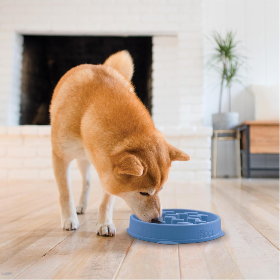 Medium Slow Feed Dog & Cat Bowl 2-Cup Capacity Non-Slip Blue Puzzle Feeder