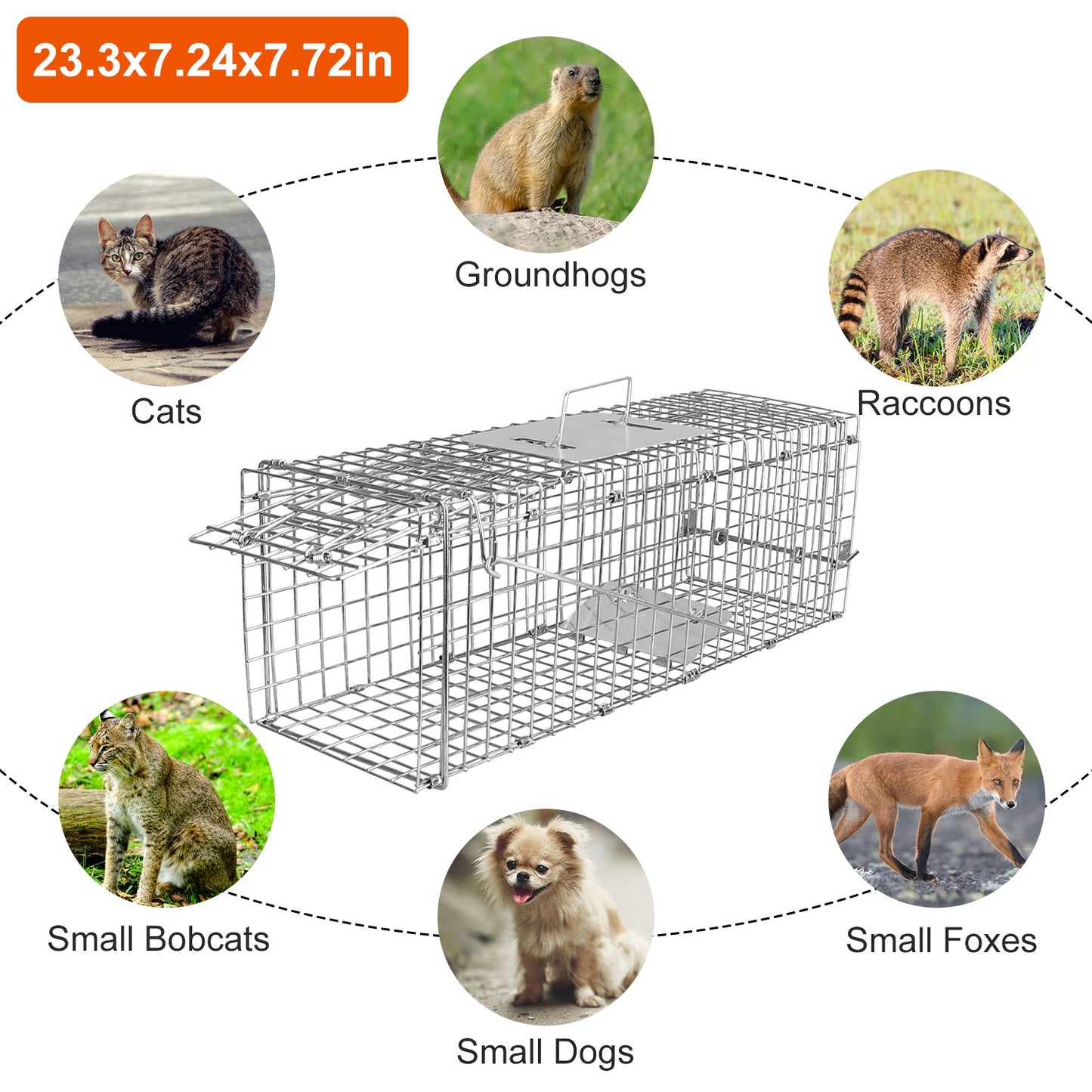 Humane Live Animal Trap Cage - Collapsible Wire for Small Animals
