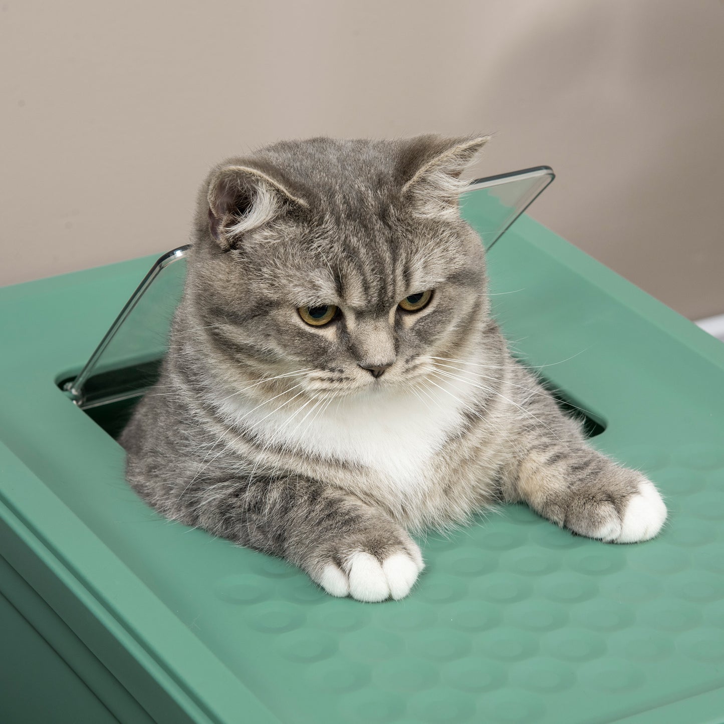 Large Enclosed Portable Cat Litter Box with Scoop - Green