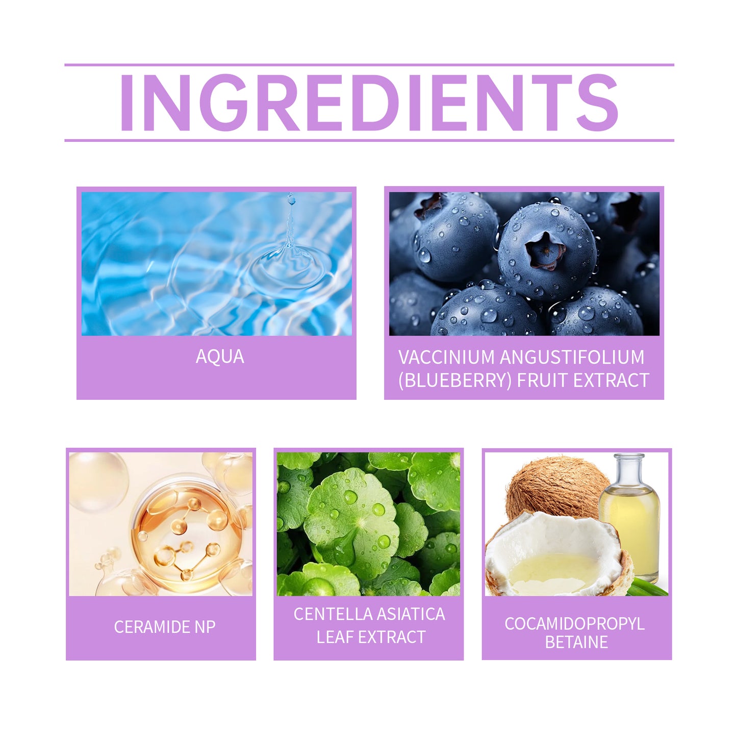 Blueberry Ceramide Facial Cleansing Gel - Hydrating Skin Face Wash