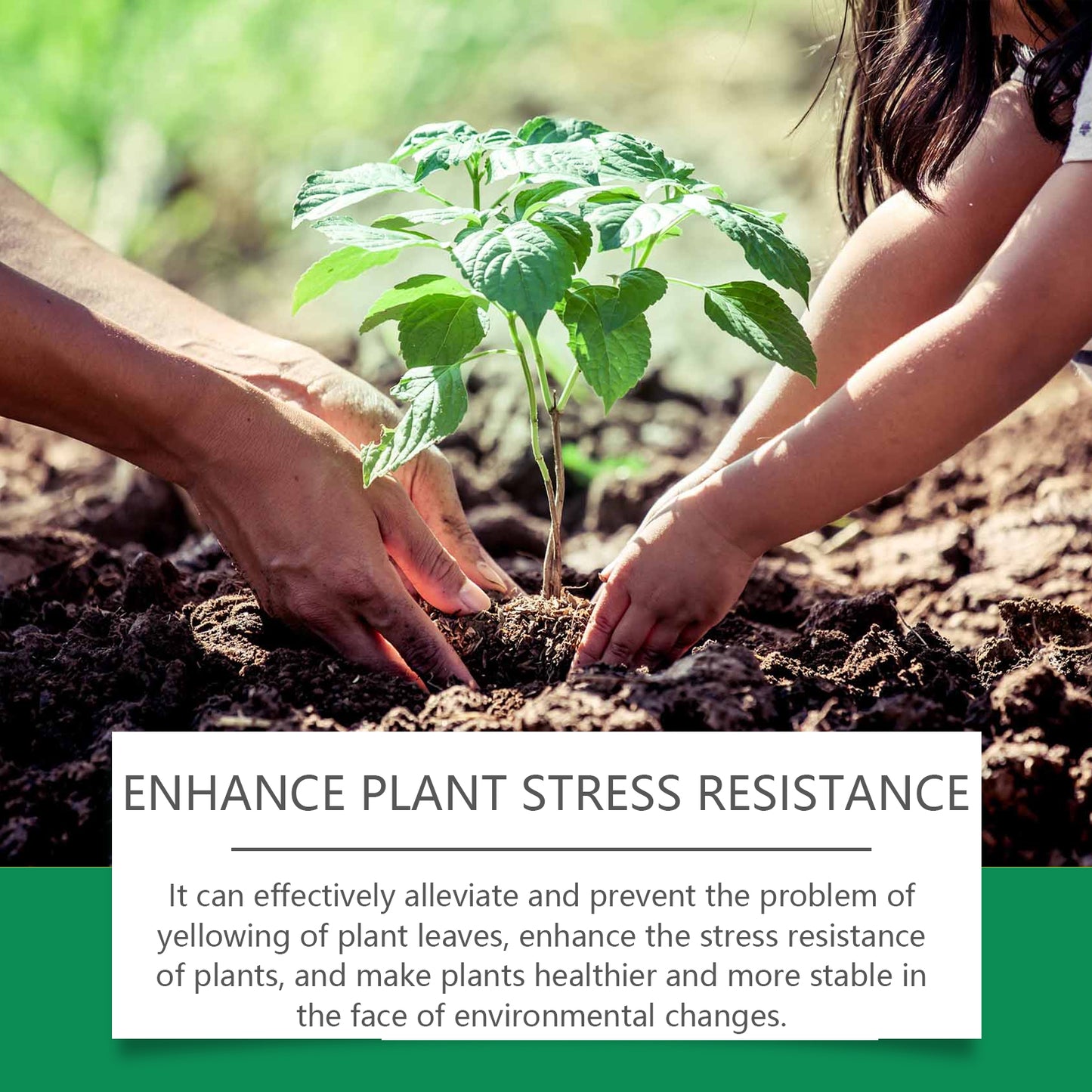 Plant Growth Nutrient Solution for Healthy Leaves & Resistance - Universalmaax