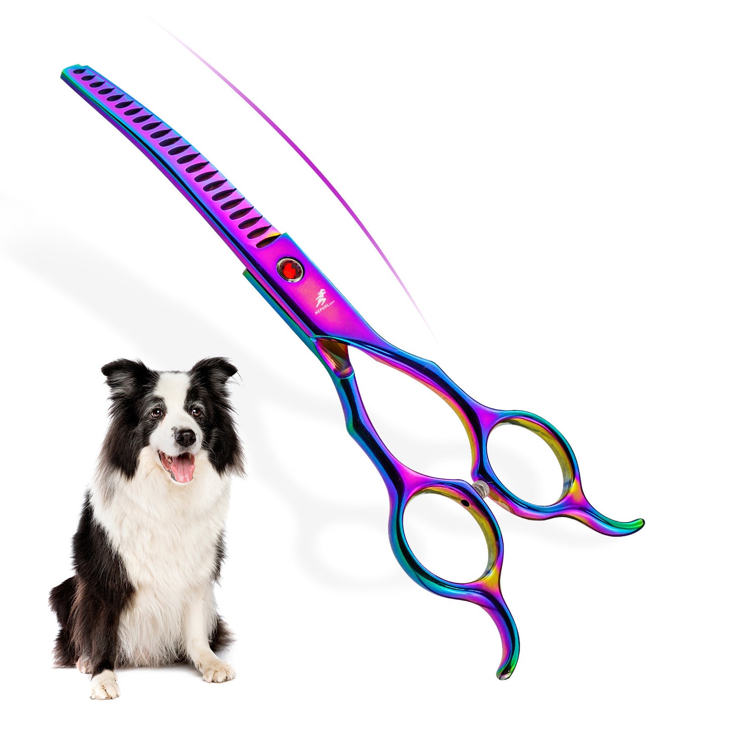 6.5-Inch Colorful Pet Nail & Fur Trimming Scissors - Curved & Durable