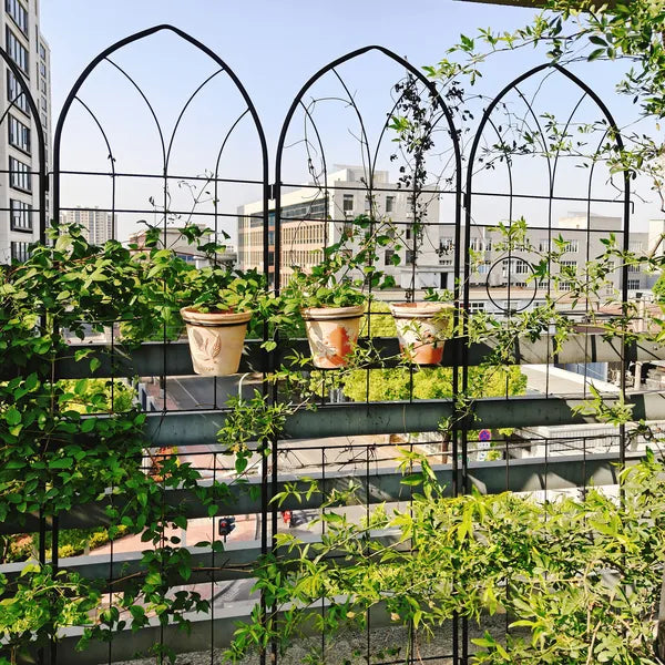 Metal Garden Trellis 78.7" x 19.7" Rustproof Black - 4 Pack