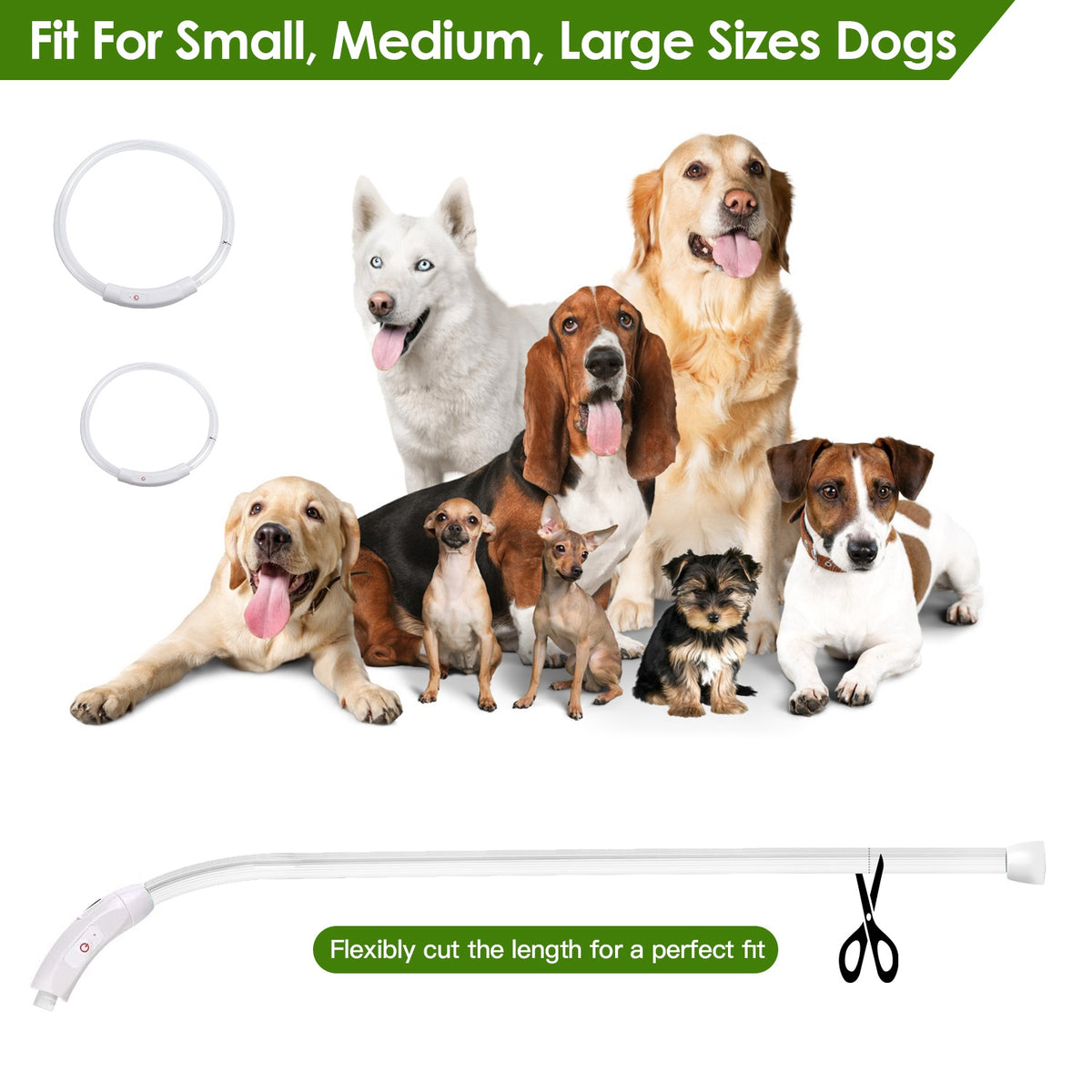 USB Rechargeable LED Dog Collar Multi-Color Safety Glow Collar for Night Walking
