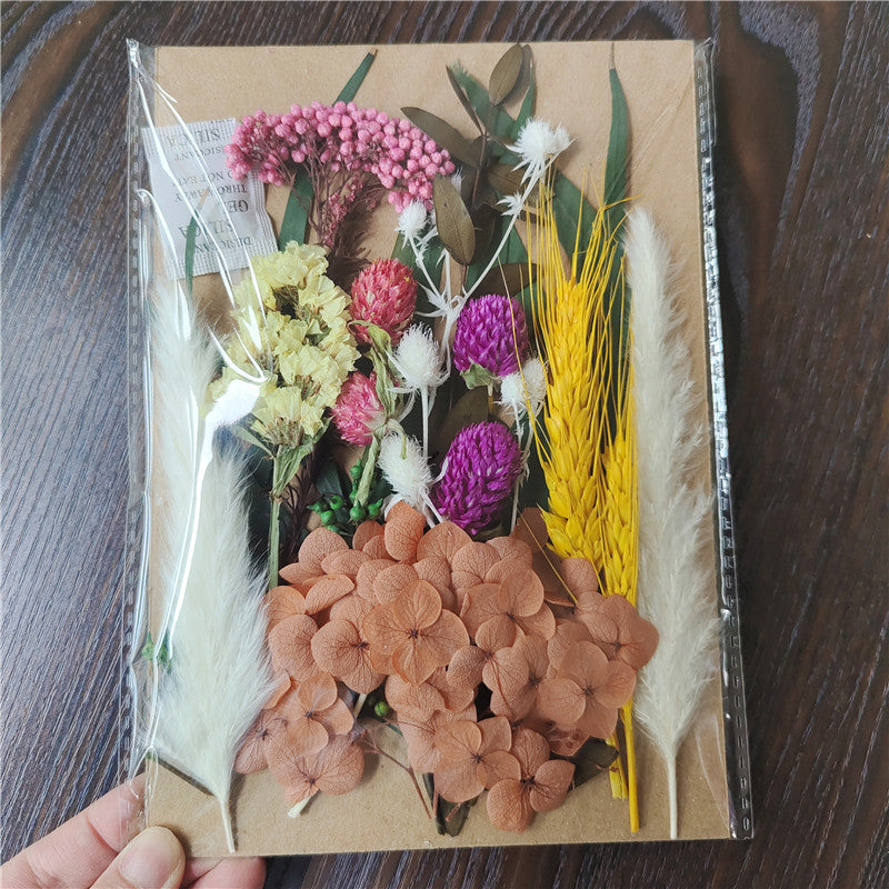 Dried Flower Material Pack for Candle & Photo Frame Decoration - Multiple Styles