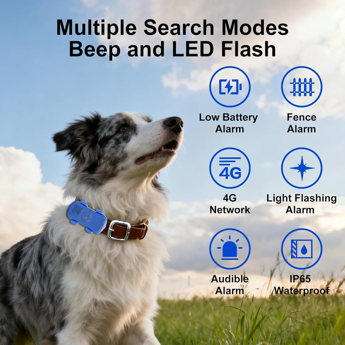 Dog GPS Tracker Real-Time Anti-Lost Collar with Geofence Light Sound Alarm