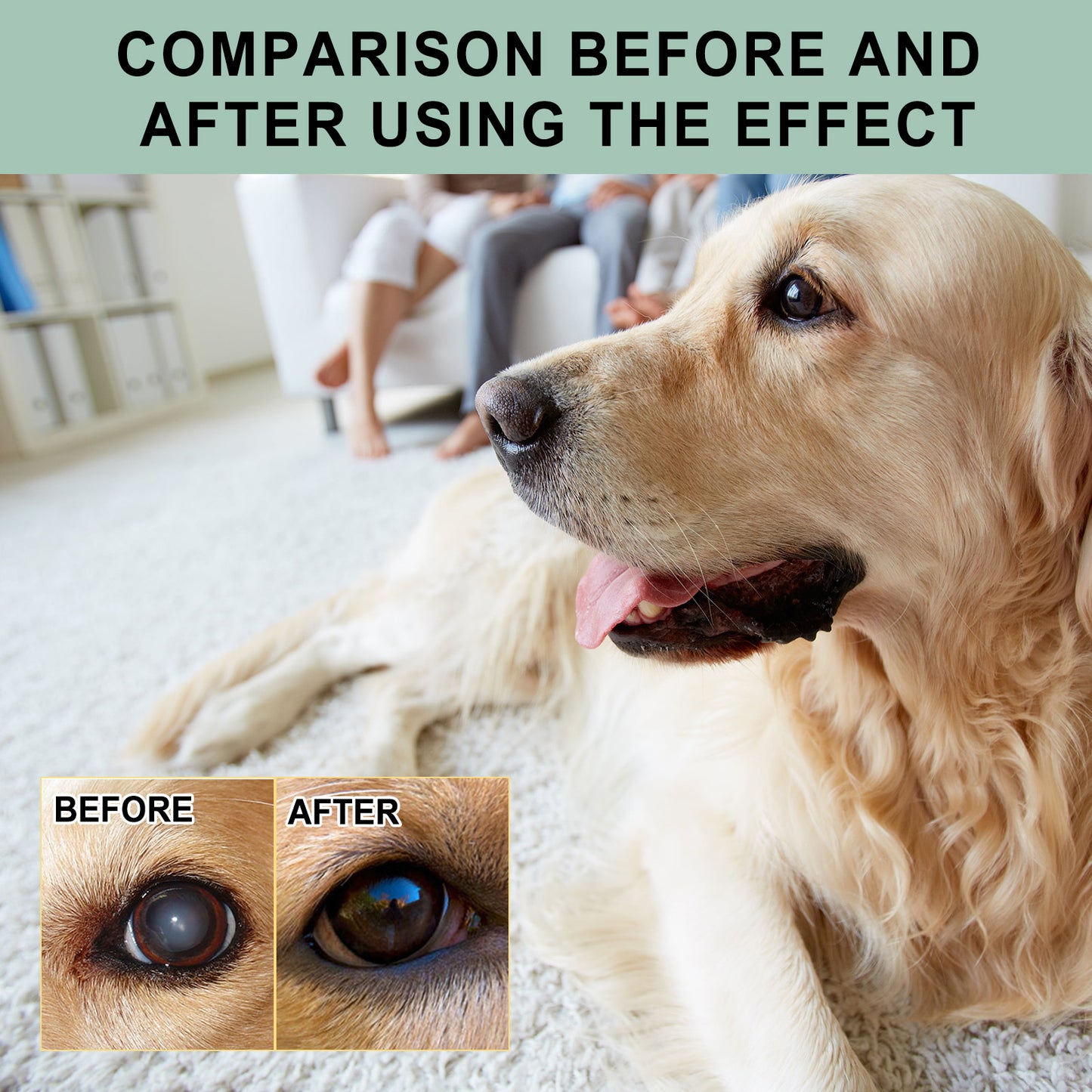 Pet Eye Drops for Dogs & Cats - Gentle Tear Stain & Eye Cleaner 100ml