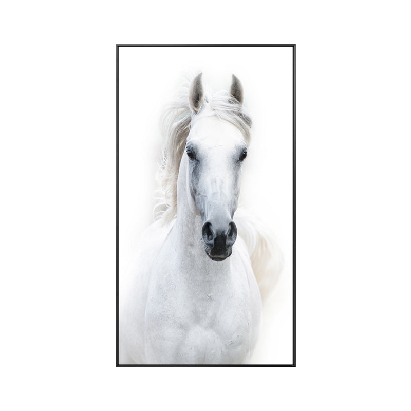 White Horse Canvas Wall Art Animal Poster Print Multiple Sizes