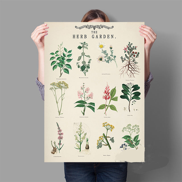 Herb Garden Botanical Poster Wall Art - Modern Minimalist Canvas Print