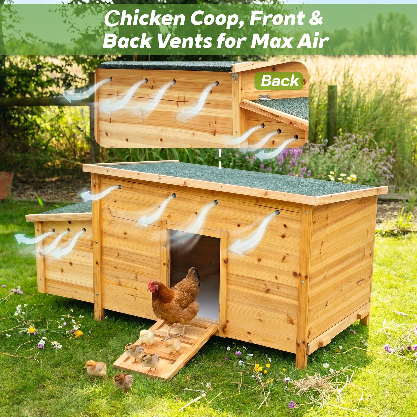 Natural Wood Chicken Coop - Solid Wood Construction